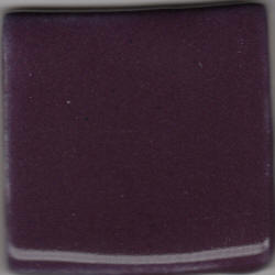 Coyote MBG053 Pansy Purple